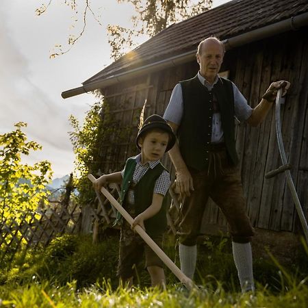 Lutzmannhof Villa Irdning Kültér fotó