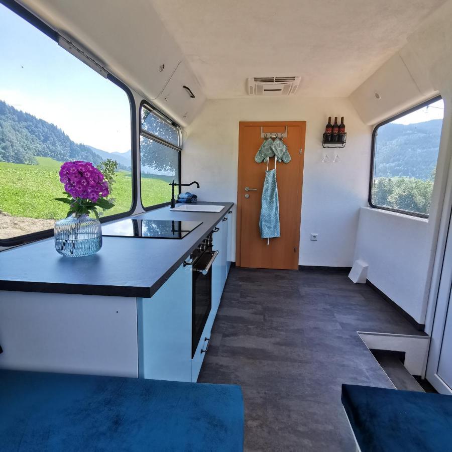 Lutzmannhof Villa Irdning Kültér fotó