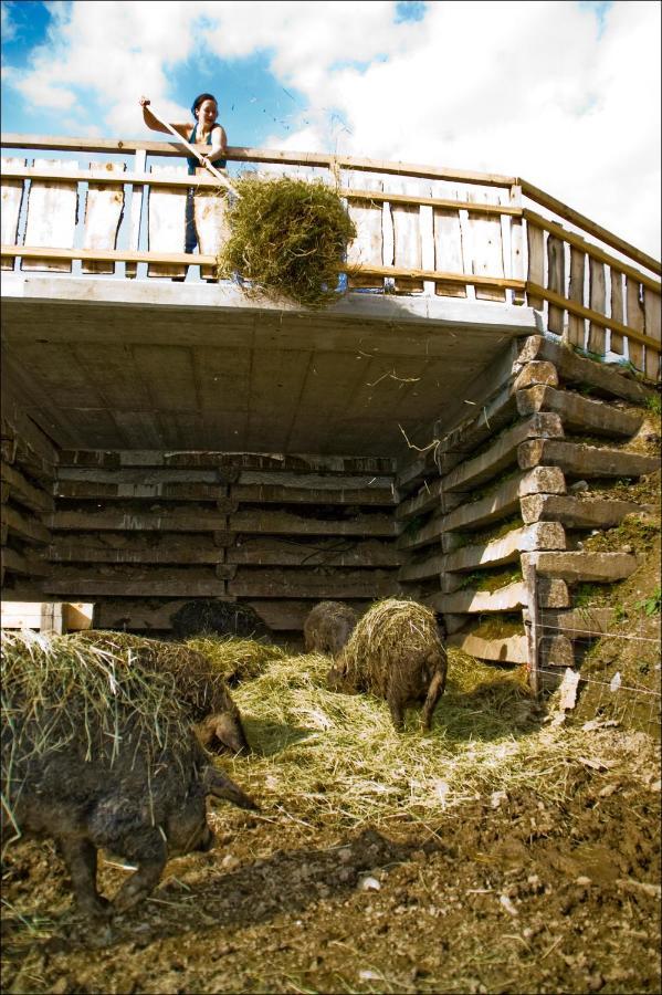 Lutzmannhof Villa Irdning Kültér fotó